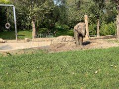 -北京野生动物园