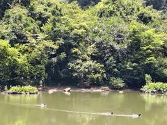 -水濂山森林公园