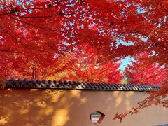 -沈阳市东陵公园