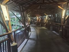 -海口观澜湖火山温泉谷