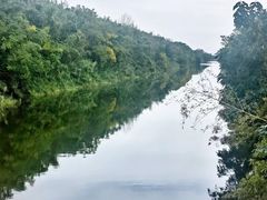 -黄海国家森林公园