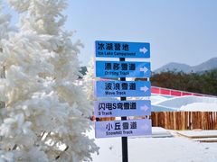 -盈香心动乐园