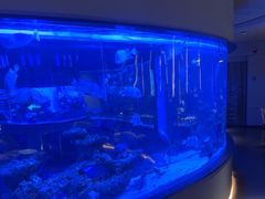 -上和臻品中国菜(花园街店)