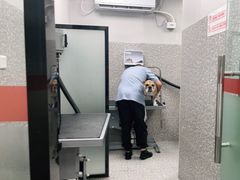 -宠物家(角门东店)