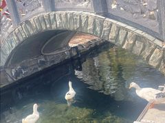 -水磨沟公园