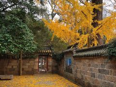 -青岛崂山太清宫