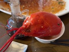 -大连君悦酒店·星海湾壹号Dalian·Dalian(星海广场店)