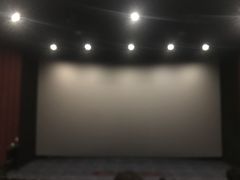 -深影国际影城(学院南路店CGS中国巨幕店)