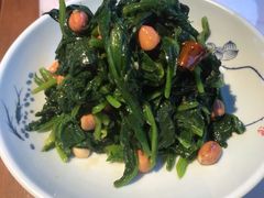 花仁拌菠菜-贺秦生陕面王(富力城店)