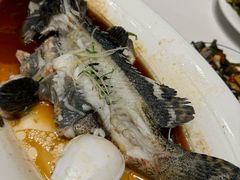 -鑫悦楼煎蟹·16年海鲜大排档
