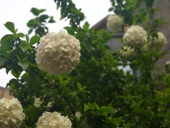 -杭州张苍水先生祠