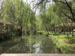 -溱湖国家湿地公园