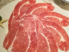 -汤城·料青山