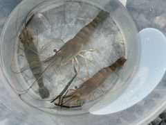 -DGE季风钓虾营地·团建·聚会