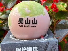 -吴山山·椰子酸奶(天河南店)