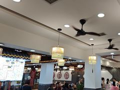 -秦君宝手擀菠菜面(金花路店)