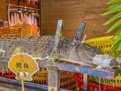 -悦鼎会海鲜姿造·宴会厅(东方明珠广场店)
