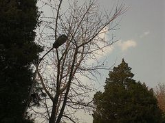 android_upload_pic-辽宁大学(崇山校区)
