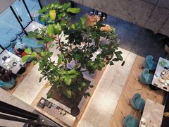 -大树餐厅(红旗街万达店)