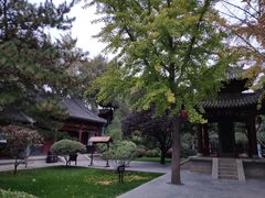 -碑林公园