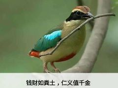 -瑞幸咖啡(西安软件园店)