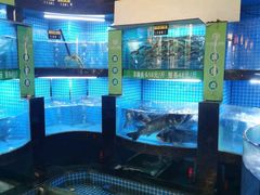 -千岛湖小鱼儿·淳安匠心农家菜