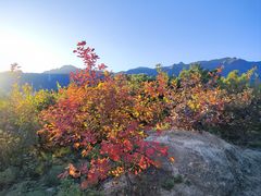 -白水寺森林公园