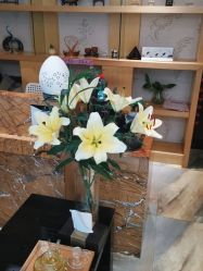 -永琪美容美发全国直营连锁