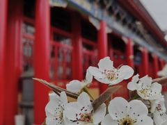 -六鼎山文化旅游区