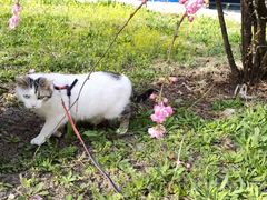 -哈尔滨师范大学(松北校区)