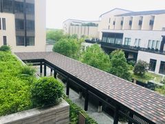 -上海崇明金茂凯悦酒店