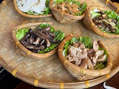 -滇野云南野生菌餐厅(陕西南路店)