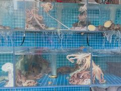 -东海章鱼馆(恒瑞街店)