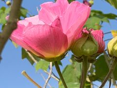 -同济大学(嘉定校区)