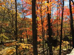 -丹东天桥沟景区