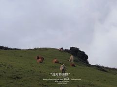 -乌蒙大草原
