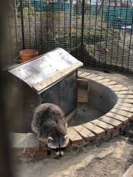 -萌宠亲子动物乐园(槐房万达店)