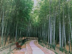 -杭州植物园