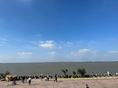 -上海滨江森林公园