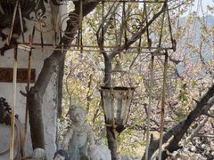 -荒度咖啡(北九水店)