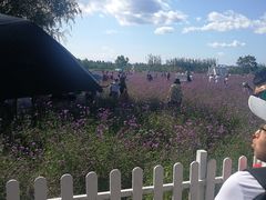 -渔岛海洋度假区