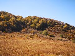 -白草畔自然风景区