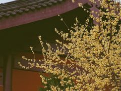 -钱王祠
