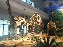 -自贡恐龙博物馆