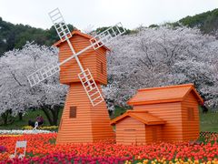 -苏州上方山国家森林公园
