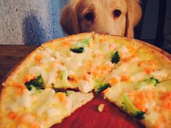 -百好乐宠物友好餐厅(朝外大街店)