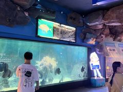 -烟台海昌鲸鲨海洋公园