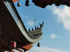 -上海东林寺(金山区)