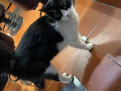 -缘久缘米粉(新街口店)