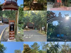 -分塔山省级森林公园